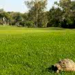Antalya Golf Club Pasha Bilder