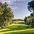 Cornelia Faldo Golf Club Bilder