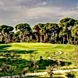 Cornelia Faldo Golf Club Bilder